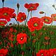 Oil Painting Field Poppies Red Flowers, Pictures, Novokuznetsk,  Фото №1