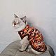 Clothing for cats T-shirt 'Ginger', Pet clothes, Biisk,  Фото №1