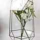 The Floriana. Geometric Floriana. Orchidarium. Vase for Floriana. Pots1. Glass Flowers. My Livemaster. Фото №5