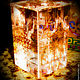 Cube-Stella'Business Artifact' (amplified version). Money magnet. Voluspa. My Livemaster. Фото №6