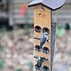 A bird feeder made of wood and acrylic 'Delta'. Bird feeders. Art bird feeder. My Livemaster. Фото №6