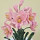 Орхидея-розовая дива, Цветы, Рыбинск,  Фото №1