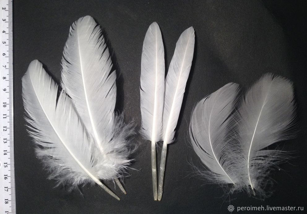 Белые перья (разные, открывать!) в интернет-магазине на Ярмарке Мастеров. 