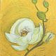 Oil pastel painting with a white magnolia flower 'Southern' 297h420 mm, Pictures, Volgograd,  Фото №1