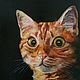Oil painting red cat on black background on canvas, Pictures, Ekaterinburg,  Фото №1