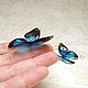 buy handmade jewelry in stock and custom resin jewelry resin jewelry blue and black butterfly earrings made of butterfly wings epoxy resin epoxy original jewelry as a gift
