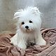 Teddy Animals: Little white puppy, Teddy Toys, Karpinsk,  Фото №1