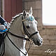 Налобник для лошади  "Голубая мечта". Уздечки. Equestrian style by Akylina. Ярмарка Мастеров.  Фото №5