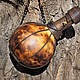 Фляга из тыквы. Оформление бутылок. Мацкель Максим. Интернет-магазин Ярмарка Мастеров.  Фото №2