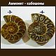 Cabochons of Ammonite fossils. PCs, Cabochons, Saratov,  Фото №1