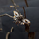 Brooch-pin: ' Ash Cicada ' modern, vintage. Brooches. House Of The Moon Dew. My Livemaster. Фото №5