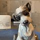 Винтаж: LLADRO 6210 6211  6212 фарфоровая статуэтка  Нежный сюрприз. Статуэтки винтажные. Коллекция Frau Burd. Ярмарка Мастеров.  Фото №8