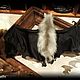 Grey Vampire Bat mobile sculpture. Interior doll. Zlata's fantasy dolls. My Livemaster. Фото №6