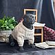 Войд Фарфоровая собака. Шарнирный American bully Американский хулиган. Шарнирная кукла. FROZENWORLD.ART by Людмила Григоровская (bjdanimals). Интернет-магазин Ярмарка Мастеров.  Фото №2