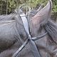 Order Bridle "Steppe" or "Cossack"with rein, Handmade. Saddlery and blacksmith's yard. Livemaster. . Bridles Фото №3