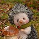 Мастер-класс мышонок Пончик от mariyaaa. Схемы для вязания. mariyaaa. Ярмарка Мастеров.  Фото №5