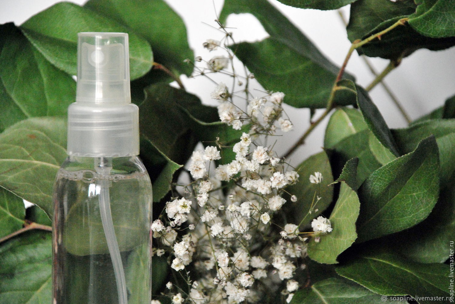 Белый Мускус Купить Настоящий