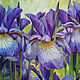 Painting 'Purple irises' oil on canvas 50h60 cm, Pictures, Moscow,  Фото №1