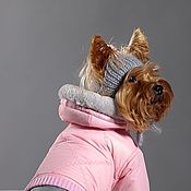 Одежда для собак Комбинезон Звездное небо