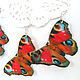 Order Transparent Earrings Bright Fluttering Butterfly Peacock Red Black. WonderLand. Livemaster. . Earrings Фото №3