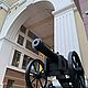 Пушка Инрог, Элементы экстерьера, Санкт-Петербург,  Фото №1