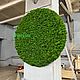 Круг из мха, Фитокартины, Москва,  Фото №1