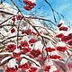 Картина акварелью Красивая картина на стену с ягодами калины, Картины, Москва,  Фото №1