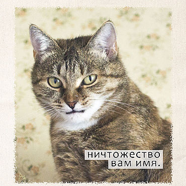 Сумки ручной работы. Ярмарка Мастеров - ручная работа Сумка-шоппер "Ничтожество вам имя". Handmade.