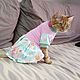 Order Clothing for cats set baby kitty 'Romance'. Happy-sphynx. Livemaster. . Pet clothes Фото №3