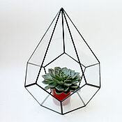 Цветы и флористика handmade. Livemaster - original item The Floriana. Interior Floriana for plants. Mini garden. Drop, 32 cm. Handmade.