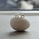 Silver stud earrings XX, Stud earrings, Kudrovo,  Фото №1