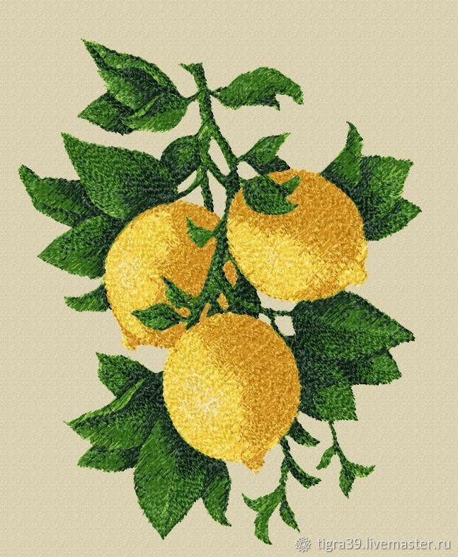 Лимон схема. Вышивка мандарины. Вышивка апельсины. Апельсины Машинная вышивка. Вышивка гладью апельсин.