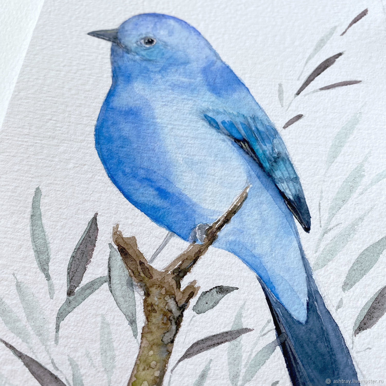 Синие птицы России нарисованные