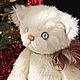  Котик Пушок. Тедди Зверята. Ручные мишки Тедди (tamedteddybears). Ярмарка Мастеров.  Фото №15
