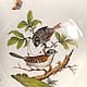 Заказать Винтаж:  Тарелка Herend антикварная фарфор (22.5см). Phoenix Antique • Феникс Антик. Ярмарка Мастеров. . Тарелки винтажные Фото №3