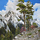 Picture-Spring in the mountains, Pictures, Moscow,  Фото №1