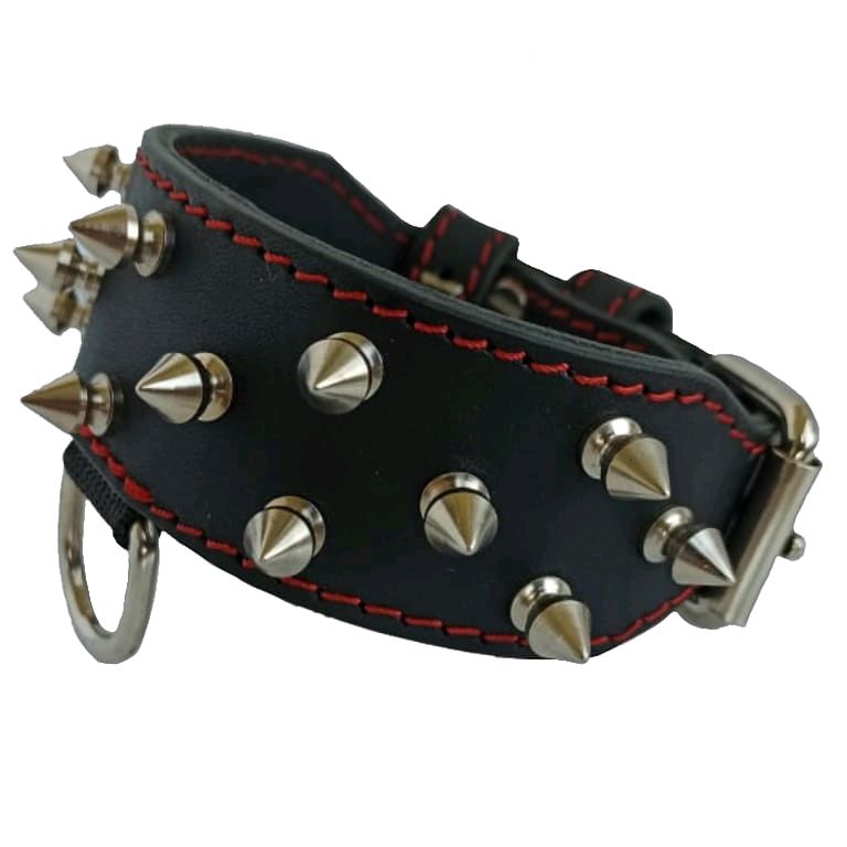 Купить Ошейник С Шипами Для Собаки