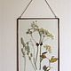 the herbarium in the glass. Herbarium of herbs. Wildflowers. Suspension. Glass Flowers. My Livemaster. Фото №6