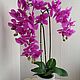 Orchid in stock, Composition, Noyabrsk,  Фото №1