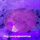 Рубин 2.47 кт Индия. Минералы. gemMaster (Александр и Дмитрий). Ярмарка Мастеров.  Фото №6