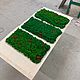 Композиция их фитопанно из мха. Фитокартины. Green.Box. Ярмарка Мастеров.  Фото №4