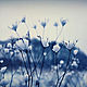 Order Snowberry fields photo pictures. Photo pictures nature. 'My s Muhtarom'. Livemaster. . Fine art photographs Фото №3