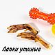 Лакомства для животных: лапы утиные, Лакомства, Ростов-на-Дону,  Фото №1
