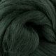 Меринос Шерсть для валяния  18 микрон цвет Fir (ель). Шерсть. Melody-Wool. Интернет-магазин Ярмарка Мастеров.  Фото №2