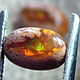  Кабошоны парные Мексиканский Огненный Опал - 6,9 ct. Камни. Сокрытое в Листве. Ярмарка Мастеров.  Фото №4