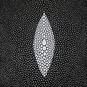 Материалы для творчества handmade. Livemaster - original item Sea stingray leather, not polished, with a diamond pattern.. Handmade.