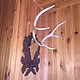 Order The under shield hunting trophy carved. Divnolese. Livemaster. . Fun Фото №3