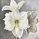 Oil painting with white flowers 'Amaryllis' 30*30 cm, Pictures, Moscow,  Фото №1