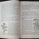 Винтаж: 1902 год. Лекарственные растения. Антикварное издание книга. Книги винтажные. Старинушка. Ярмарка Мастеров.  Фото №4