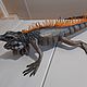 Игуана, Фигуры садовые, Новоульяновск,  Фото №1